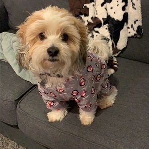 Meet your Posher, Paige